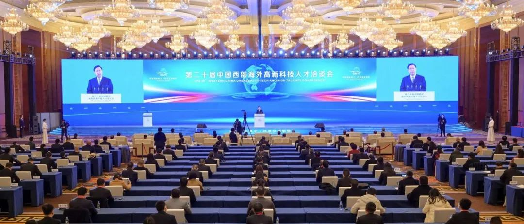 图片5