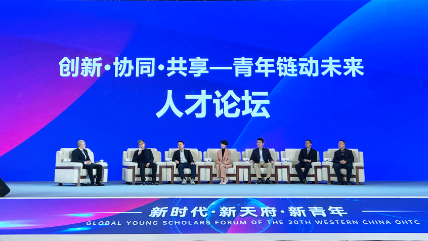 图片8